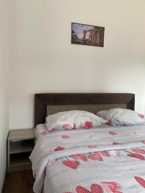 Dom apartmani Kragujevac Bagian luar foto